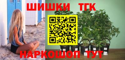 бошки Дубна