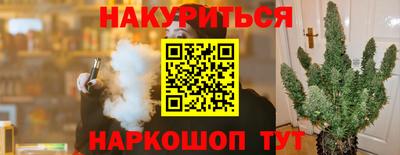 бошки Дубна