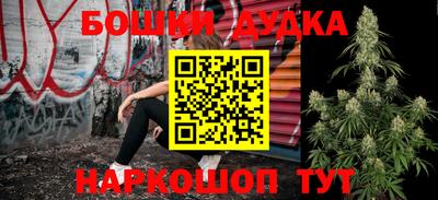 бошки Дубна